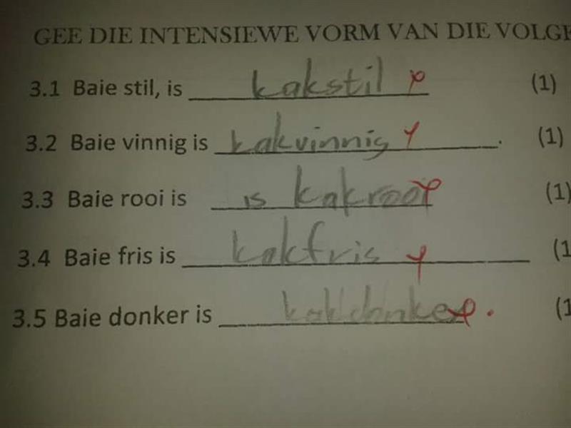 Afrikaanse Aflaaibare Materiaal vir Graad 4! Mr Vs